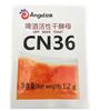 Изображение Angel CN36