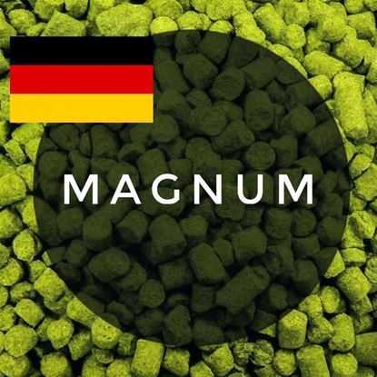 Изображение Хмель Магнум / Magnum hops (Германия), 0,1 кг | 13,4% | 2024