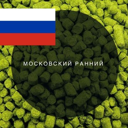 Изображение Хмель Московский ранний / (Россия), 0,1 кг | 4,2% | 2024