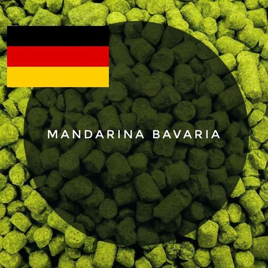Изображение Хмель Мандарина Бавария / Mandarina Bavaria (Германия), 0,1 кг | 9,1% | 2025