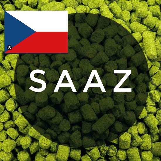 Изображение Хмель Жатецкий (SAAZ) / Zatec SAAZ hops (Чехия), 0,1 кг | 3,66% | 2025