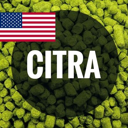 Изображение Хмель Цитра / Citra hops (Соединенные Штаты), 50 г | 15,2% | 2024