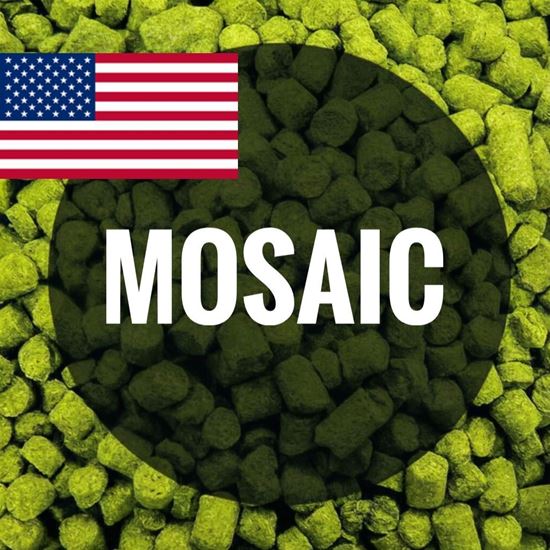 Изображение Хмель Мозаик / Mosaic (Соединенные Штаты), 0,5 кг | 12,1% | 2025