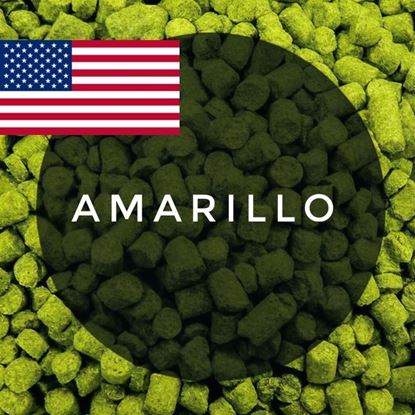 Изображение Хмель Амарилло / Amarillo (Соединенные Штаты), 50 г | 8,5% | 2025